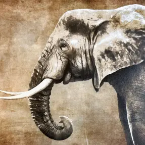 Umelá koža KARIA Elephant PANEL